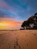 Dusk over the wide, tree-backed sand at Chidiya Tapu