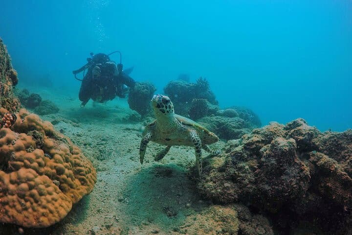 Shore diving