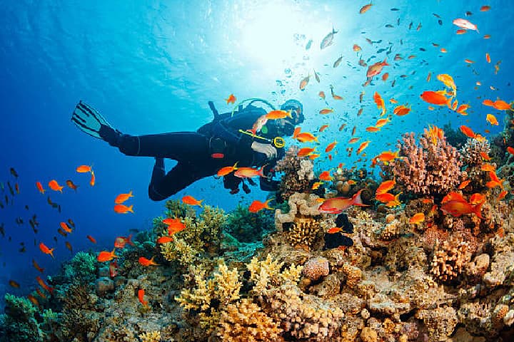 Snorkelling