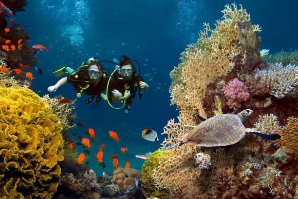 Andaman Adventure — 6N 7D