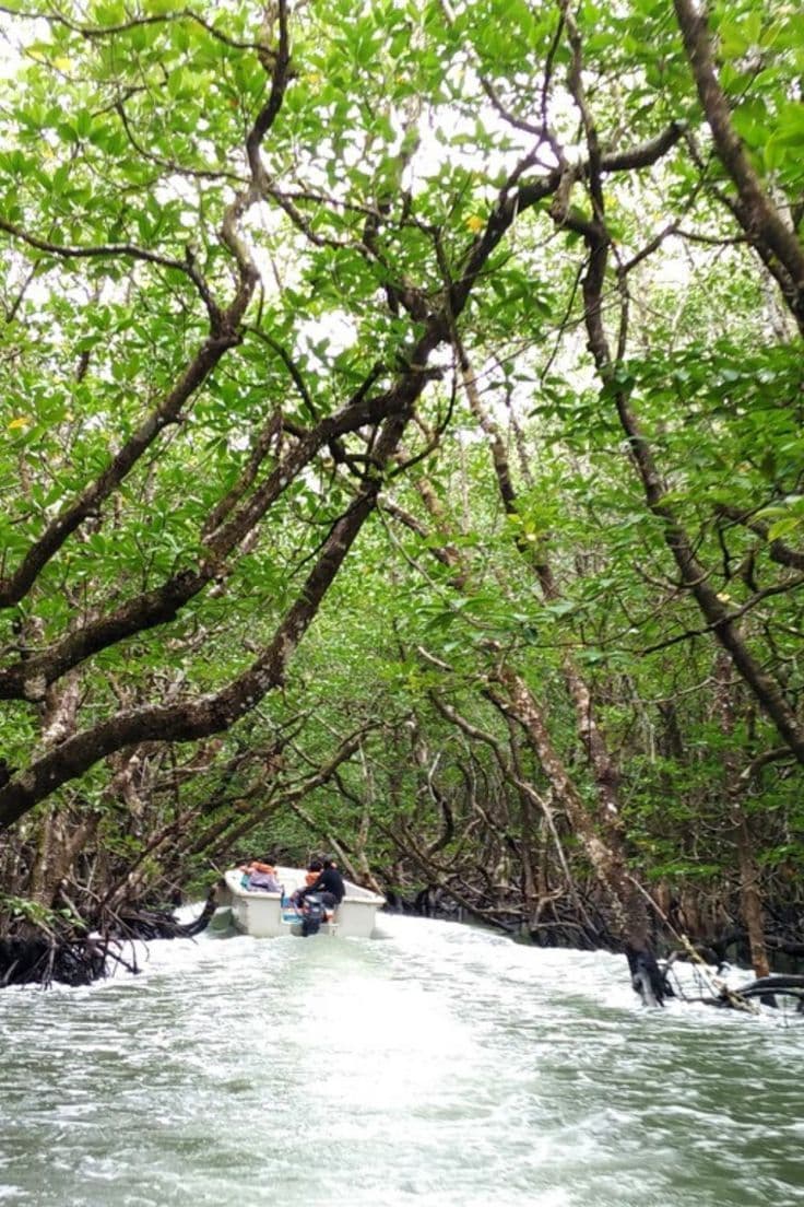 Baratang, Andaman Islands