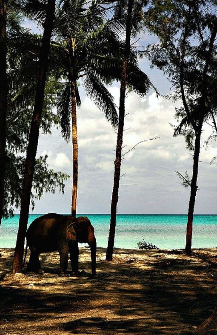 Diglipur, Andaman Islands