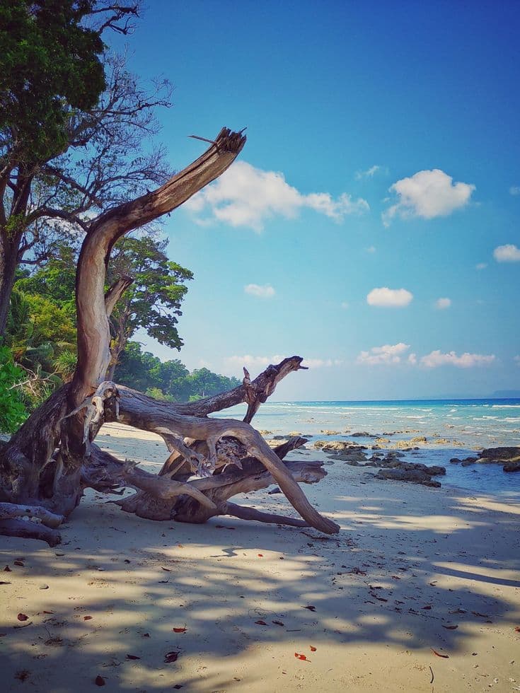 Neil, Andaman Islands
